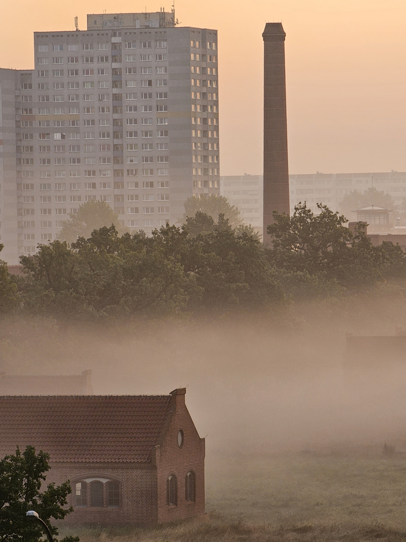 Nebel über dem Wasserwerk