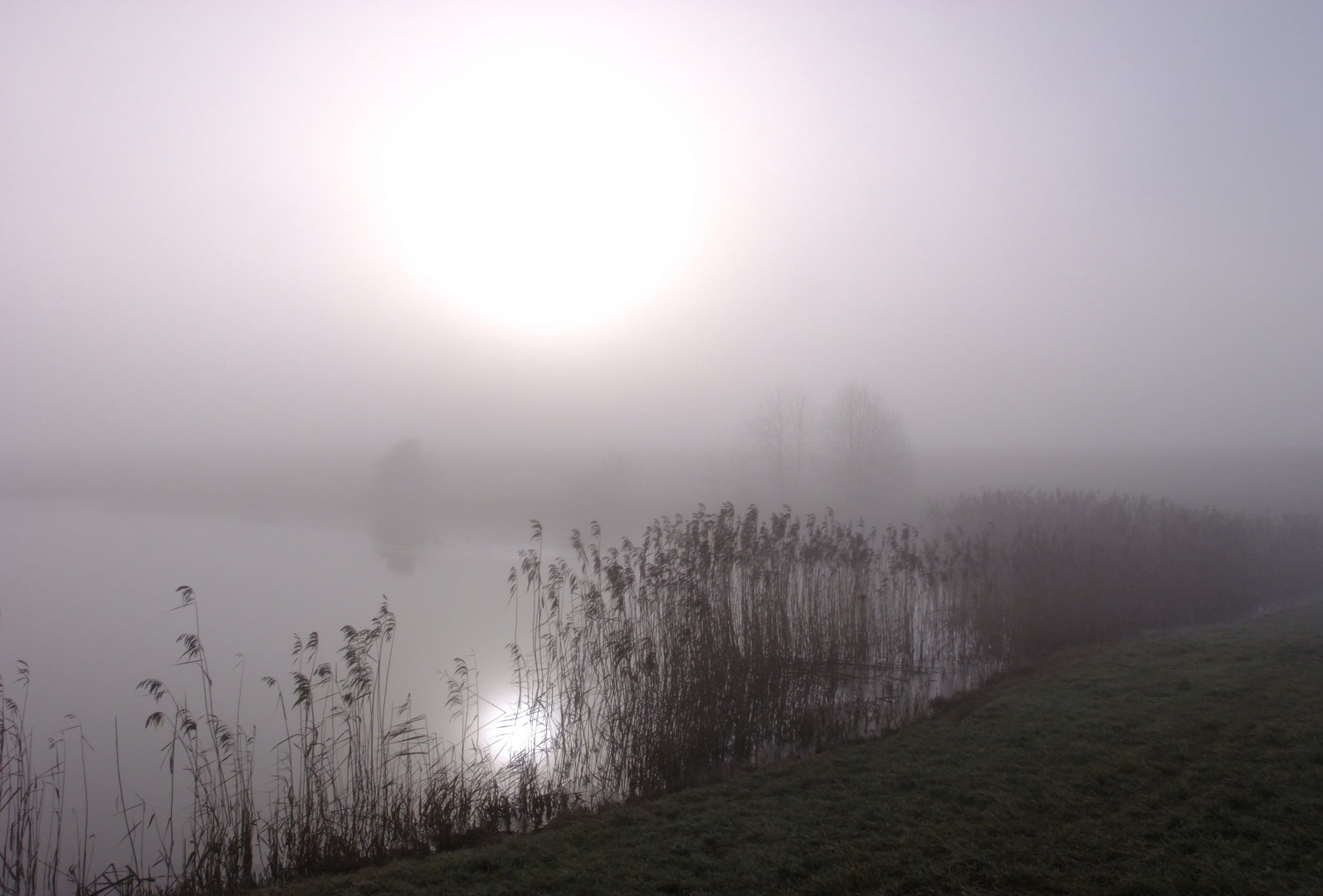 Nebel über dem Weiher