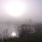 Nebel über dem Weiher