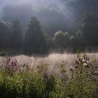 Nebel über dem Weiher