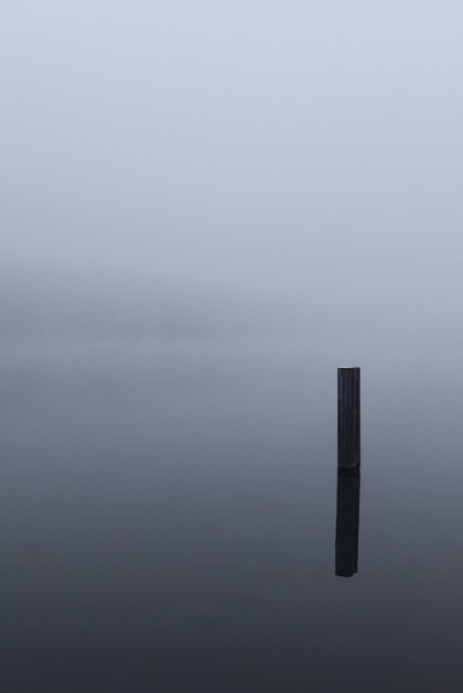 Nebel über dem Werlsee