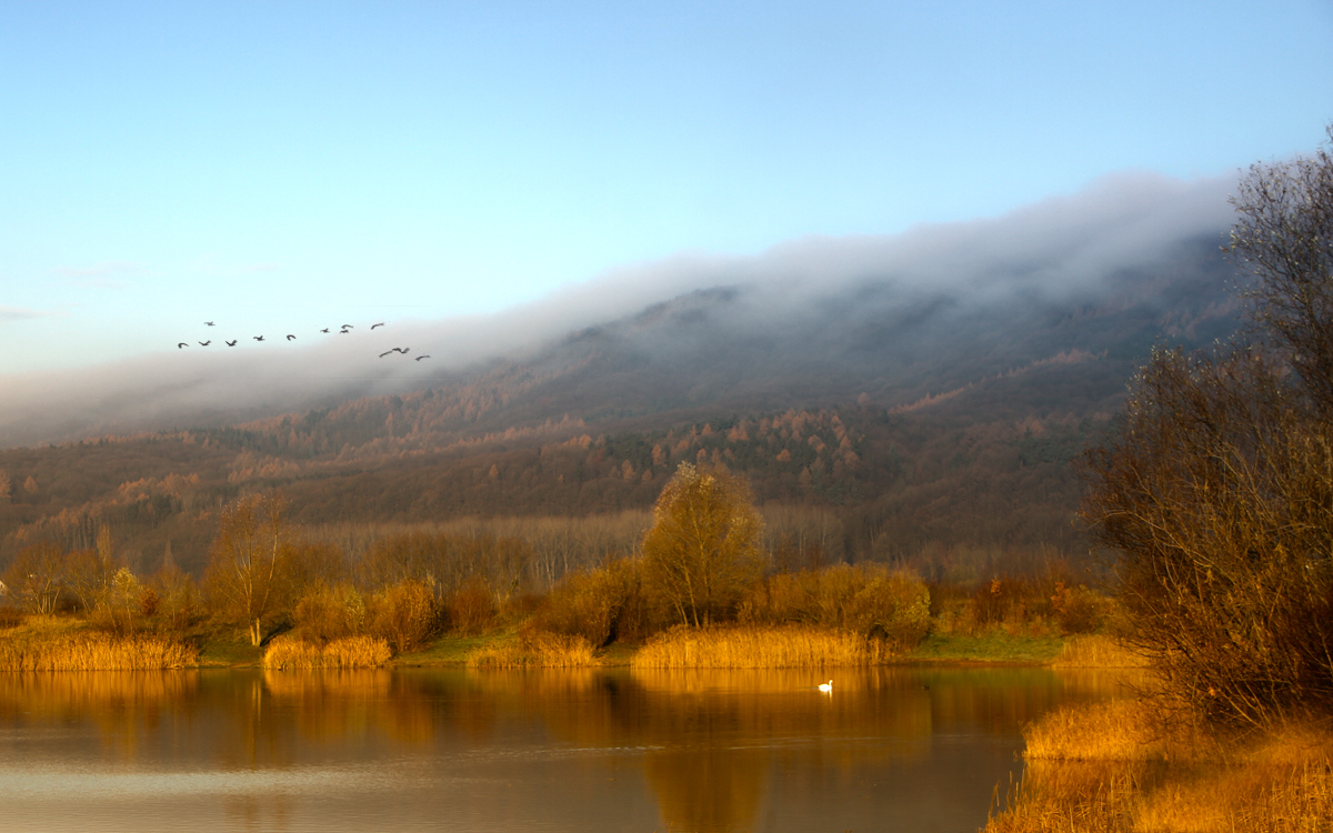 Nebel über dem Wesergebirge