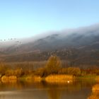 Nebel über dem Wesergebirge