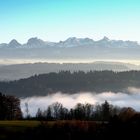 Nebel über dem Wohlensee