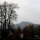 Nebel über dem Wolfsberg (Schluckenauer Zipfel)