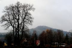 Nebel über dem Wolfsberg (Schluckenauer Zipfel)