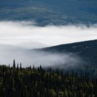Nebel über dem Yukon