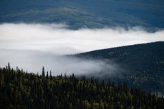 Nebel über dem Yukon