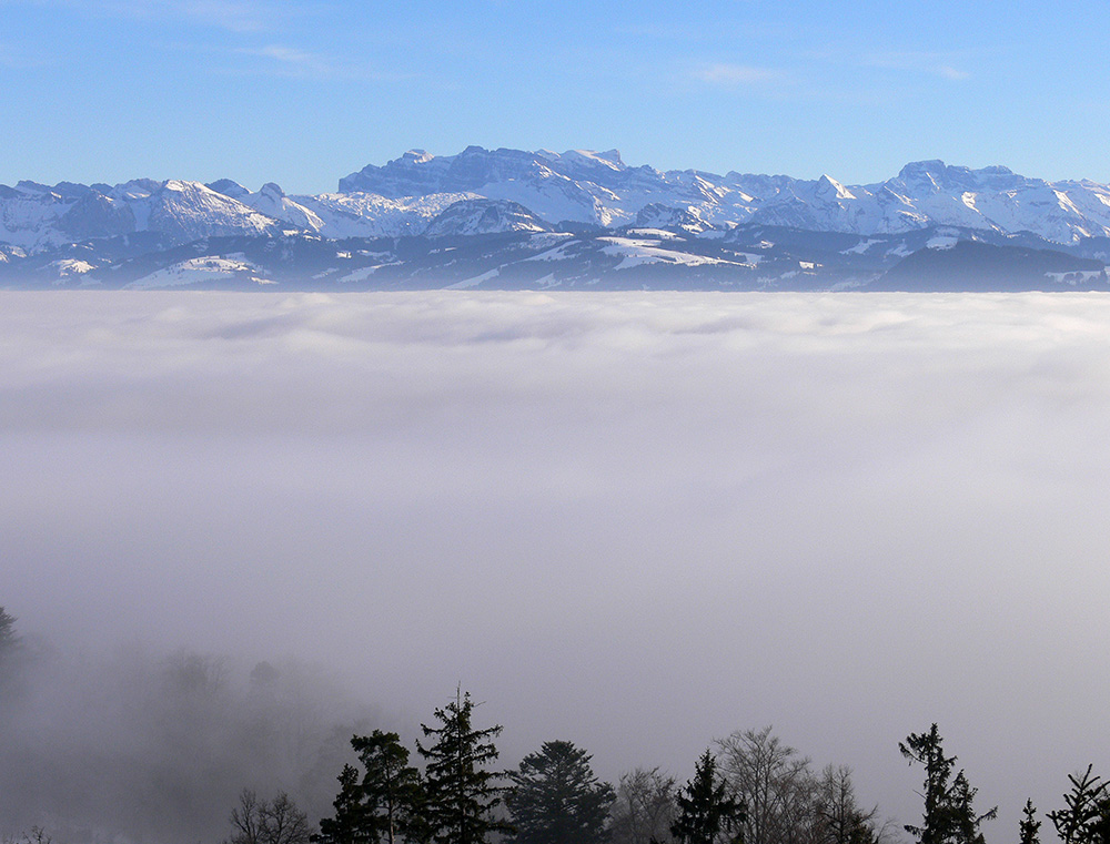 Nebel über dem Zürichsee