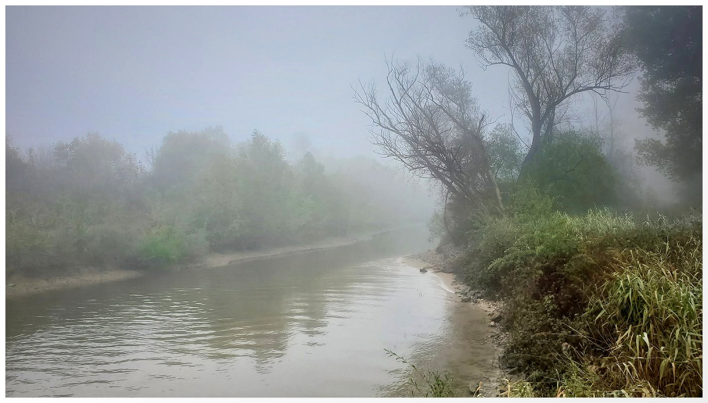 Nebel über den Altrheinarm / Rheingau