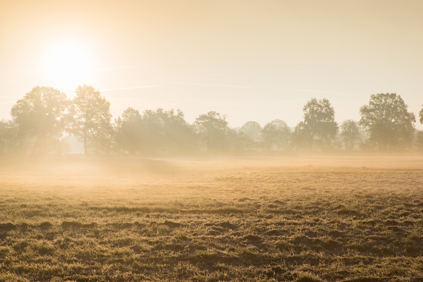 Nebel über den Feldern