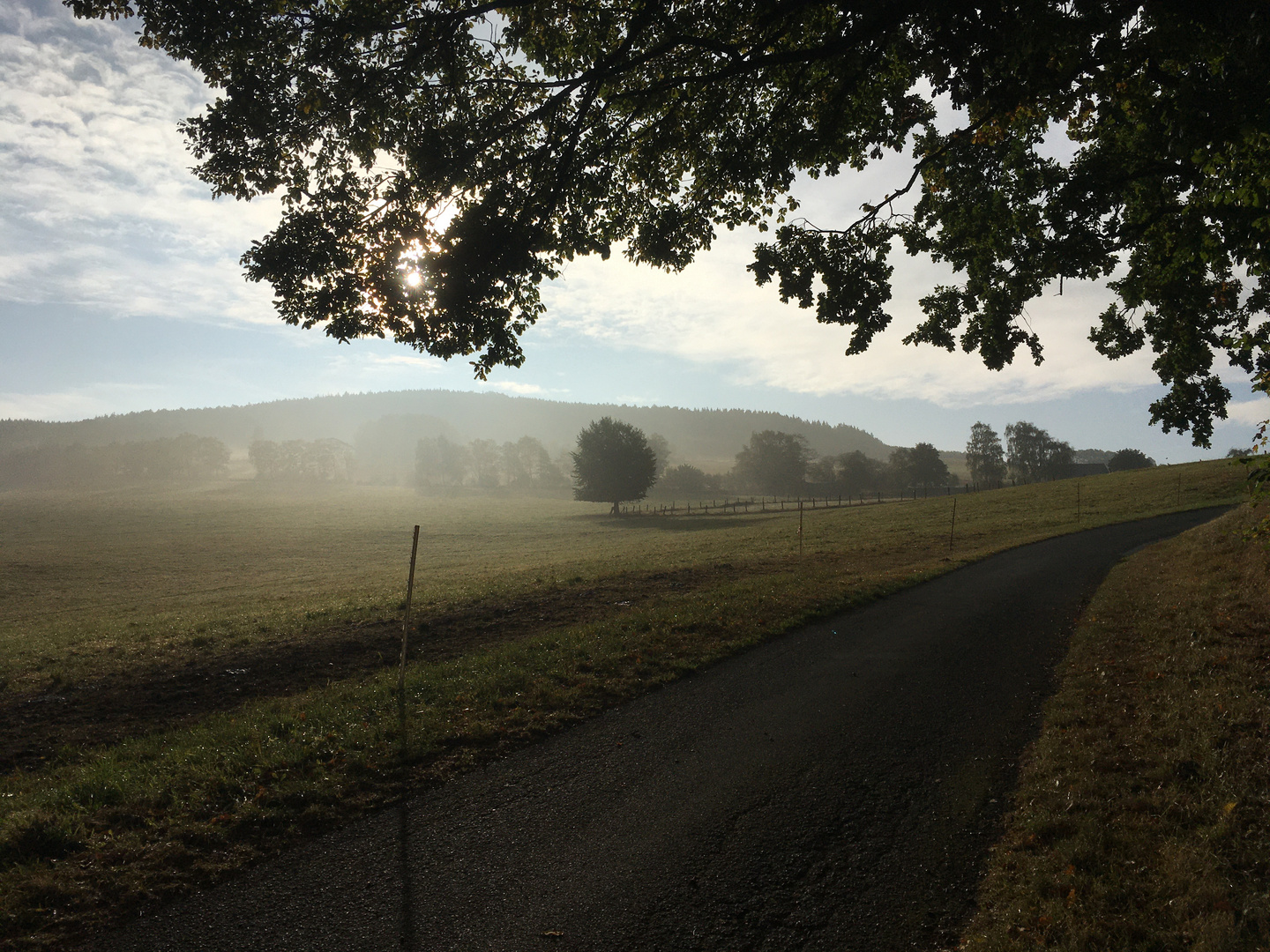 Nebel über den Feldern