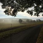 Nebel über den Feldern