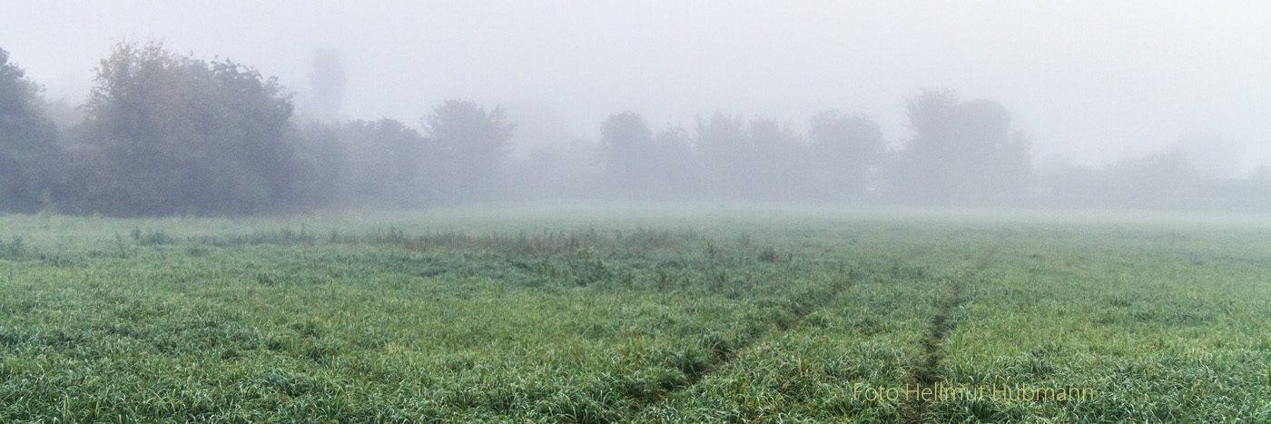 NEBEL ÜBER DEN FELDERN