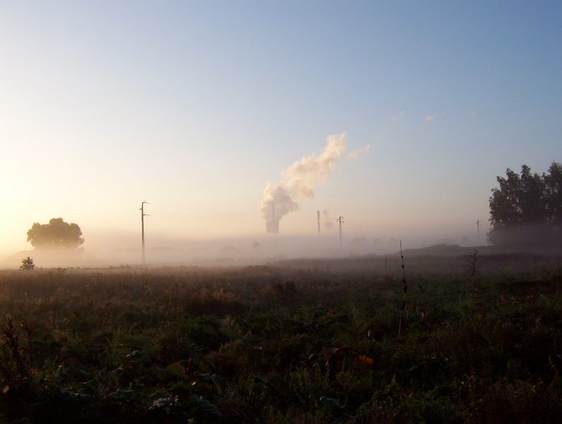 Nebel über den Feldern