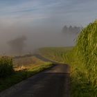 Nebel über den Feldern