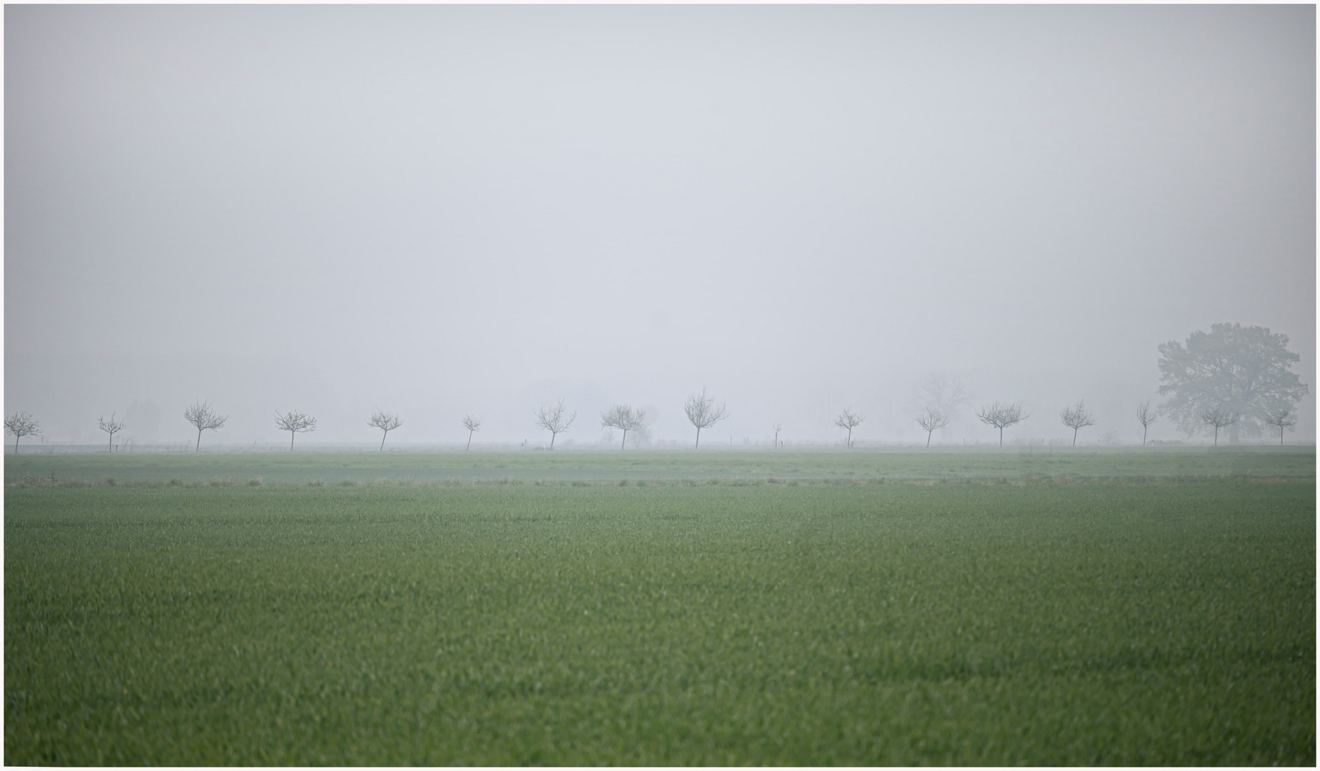 Nebel über den Feldern 