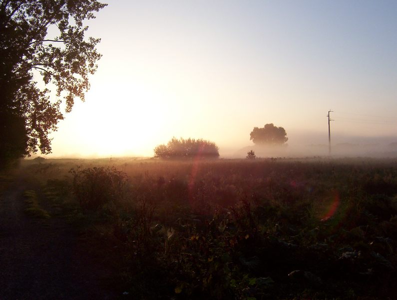 Nebel über den Feldern II