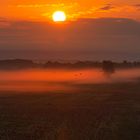 Nebel über den Feldern im Vorharz