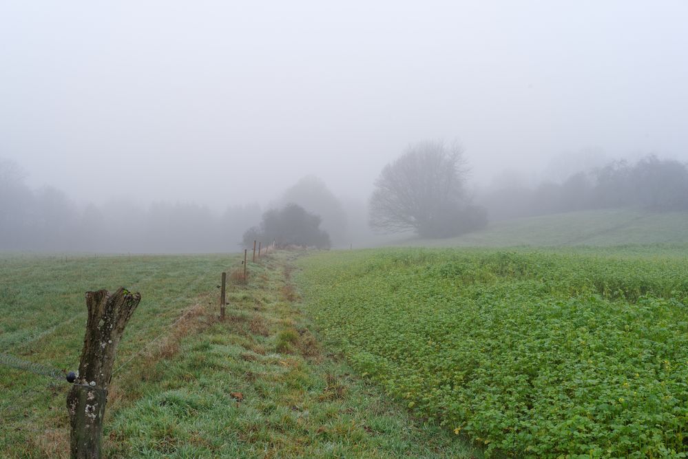 Nebel über den Feldern und Wiesen