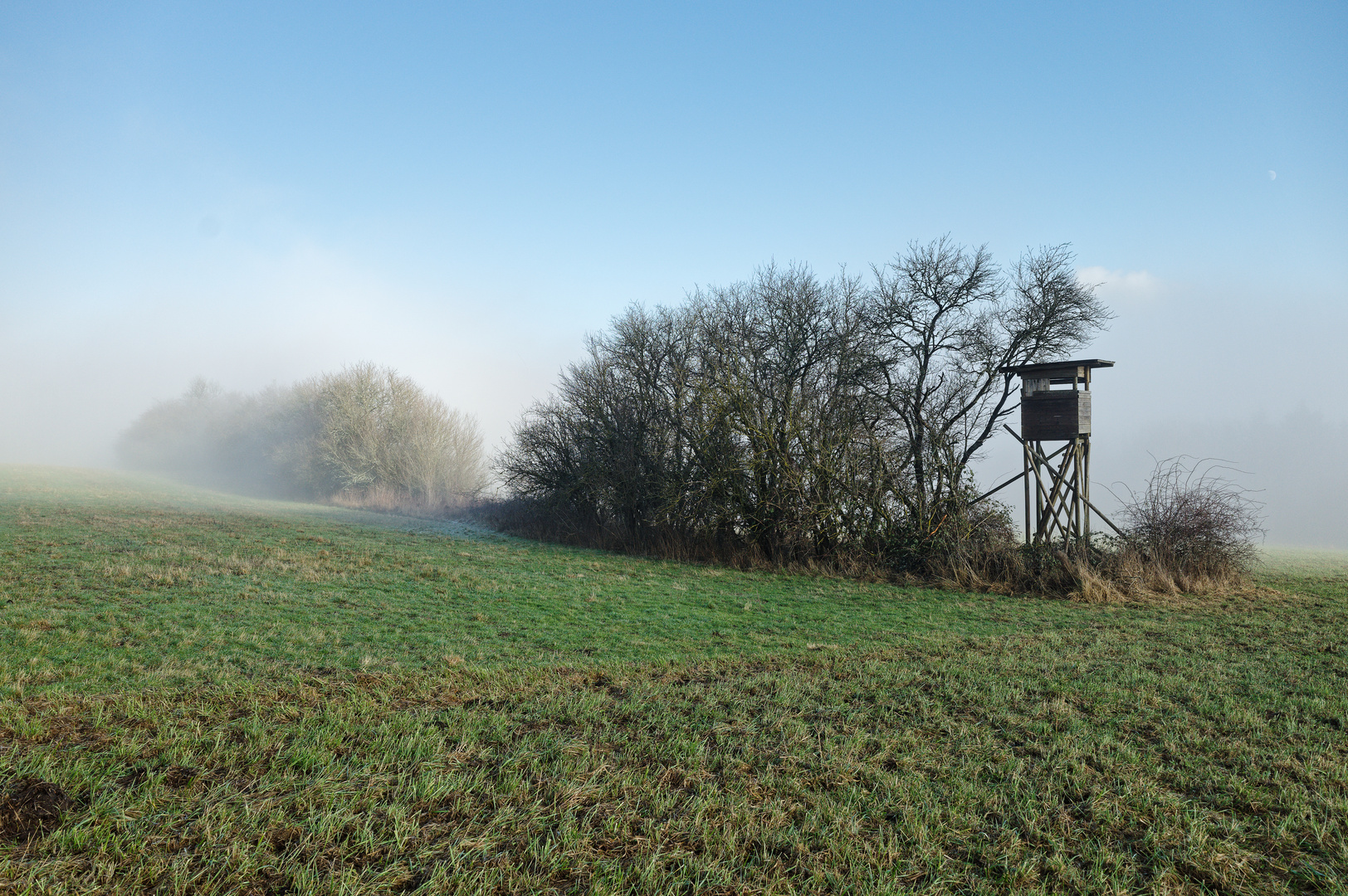 Nebel über den Feldern und Wiesen