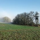 Nebel über den Feldern und Wiesen