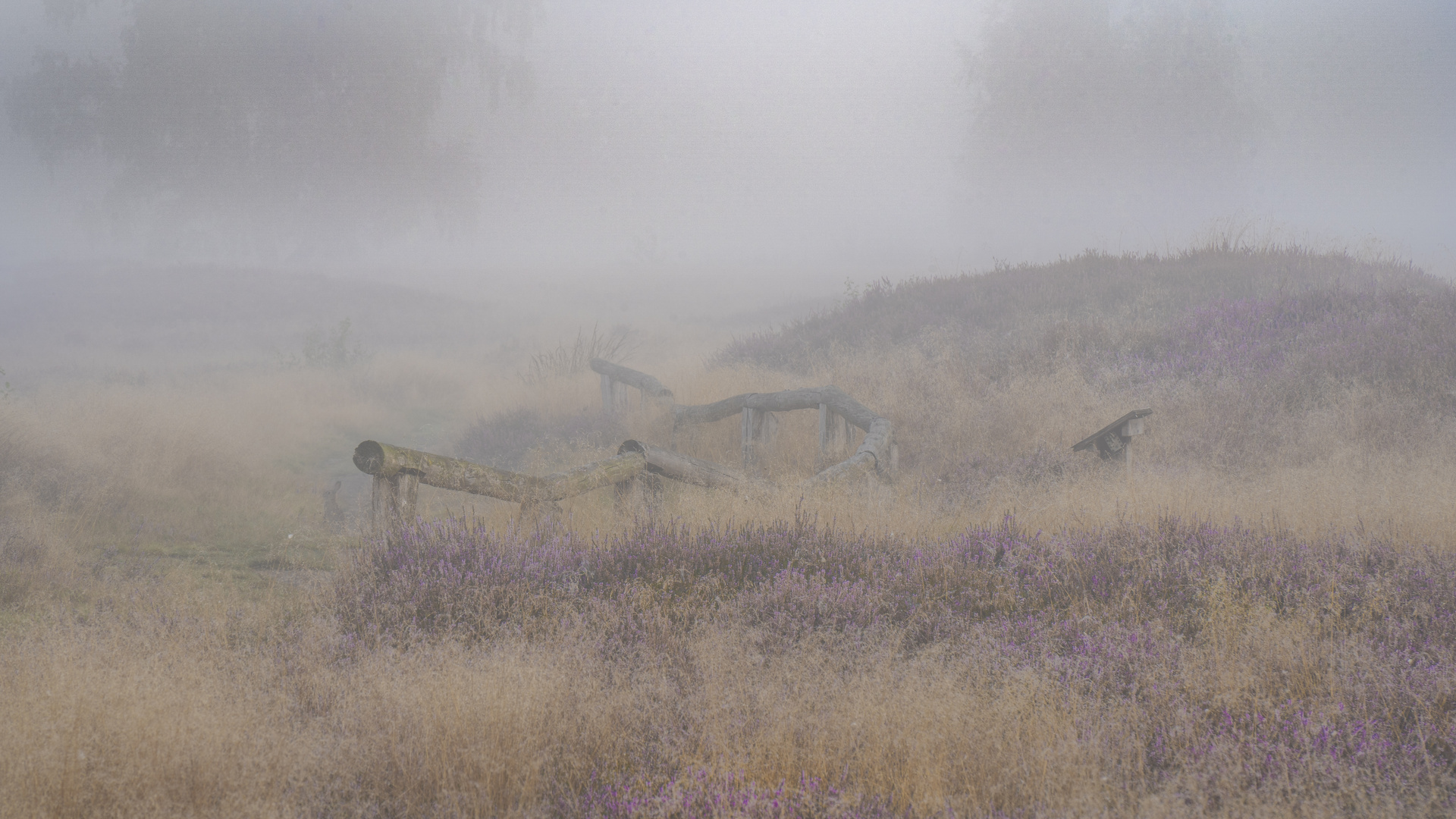 Nebel über den Gräbern