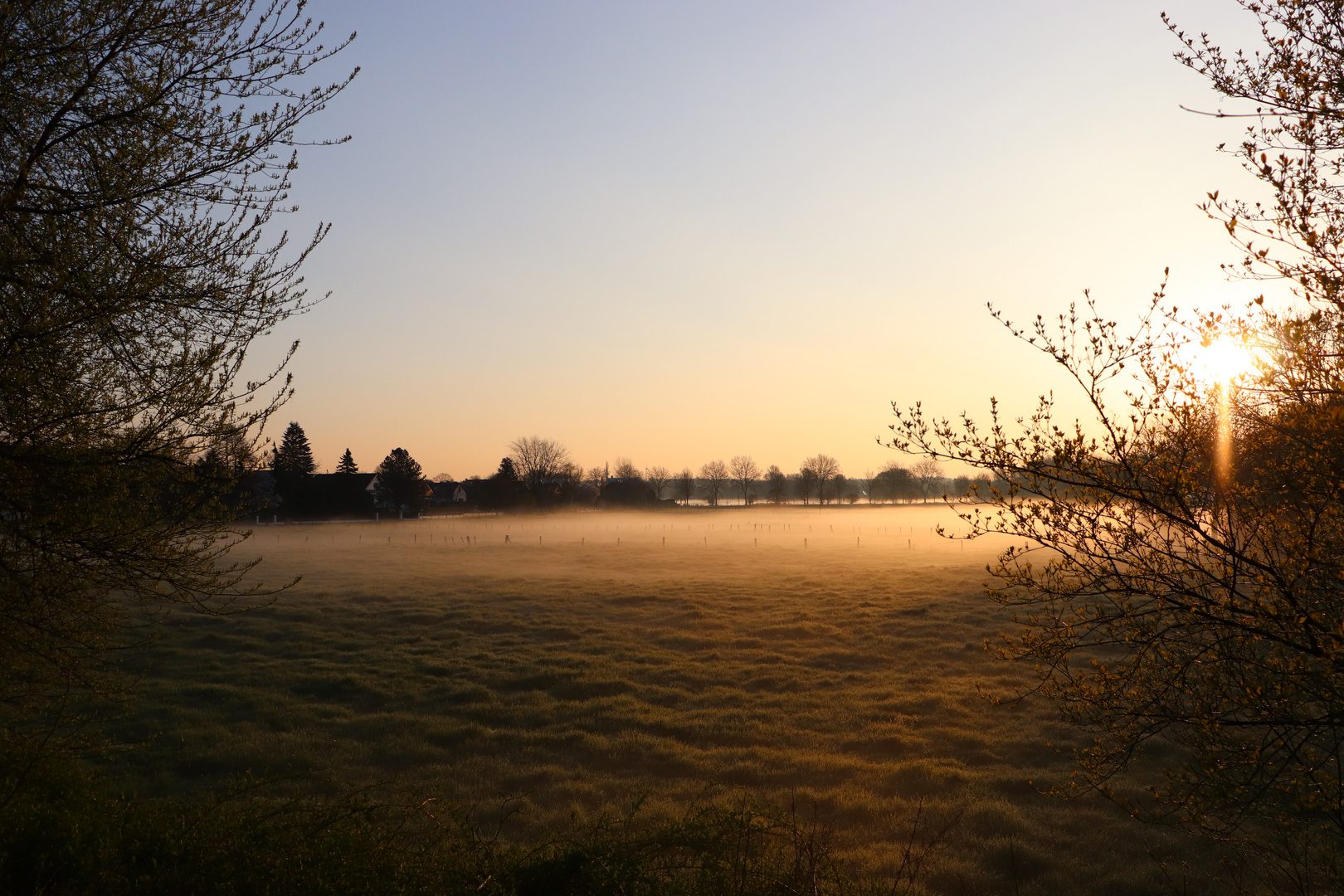 Nebel über den Nierswiesen 