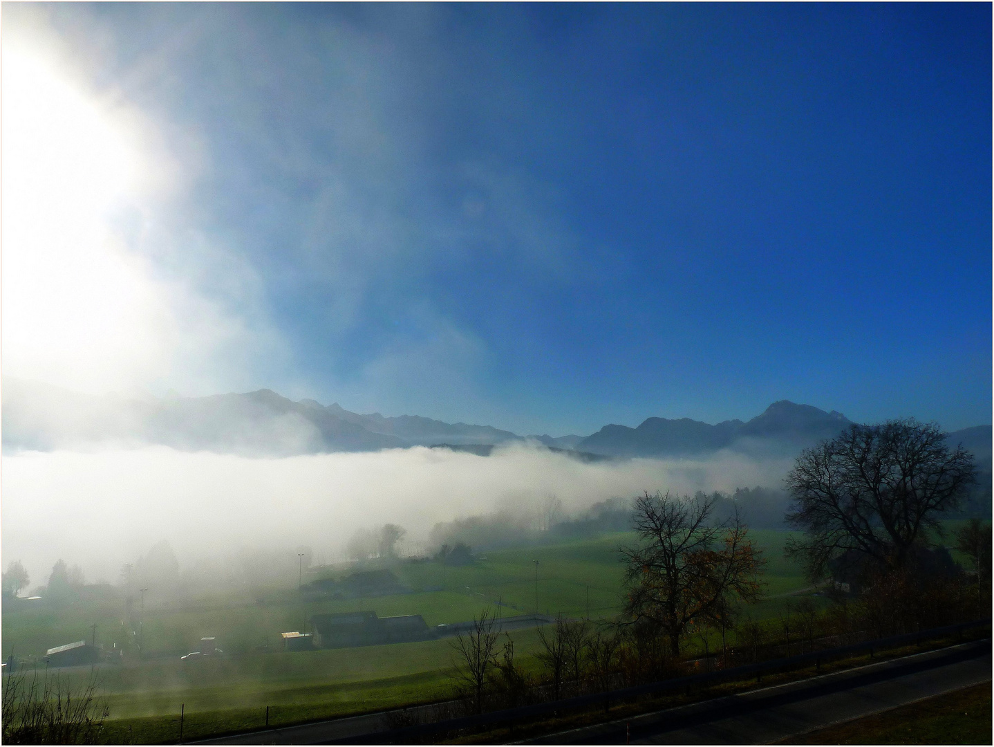 nebel über den see