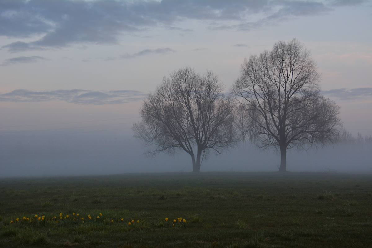 Nebel über den See