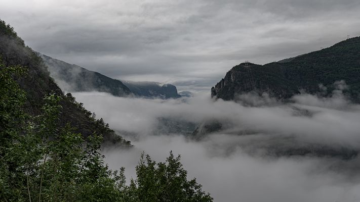 Nebel über den Tal