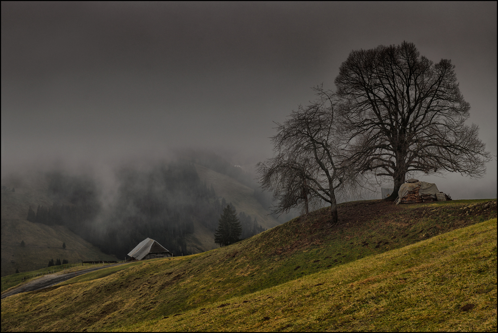 Nebel über den Voralpen.