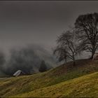 Nebel über den Voralpen.