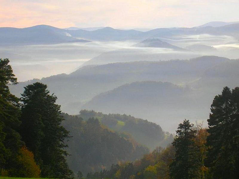 Nebel über den Vosgesen (Elsass)