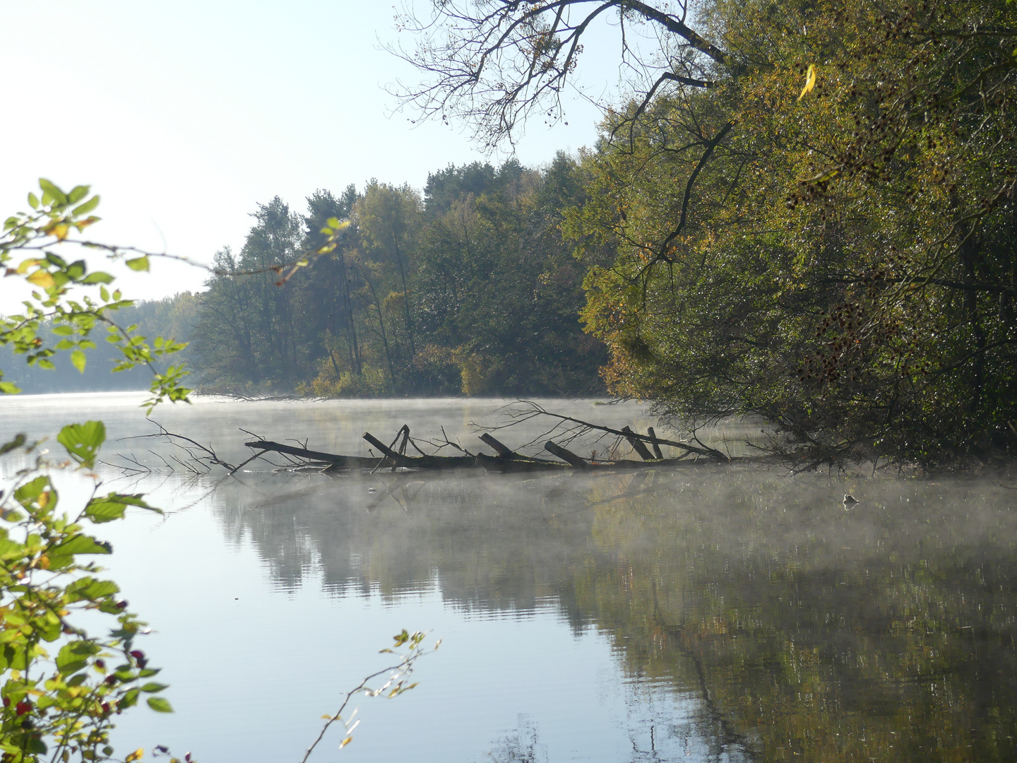 Nebel über den Wassern