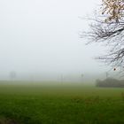 Nebel über den Wiesen