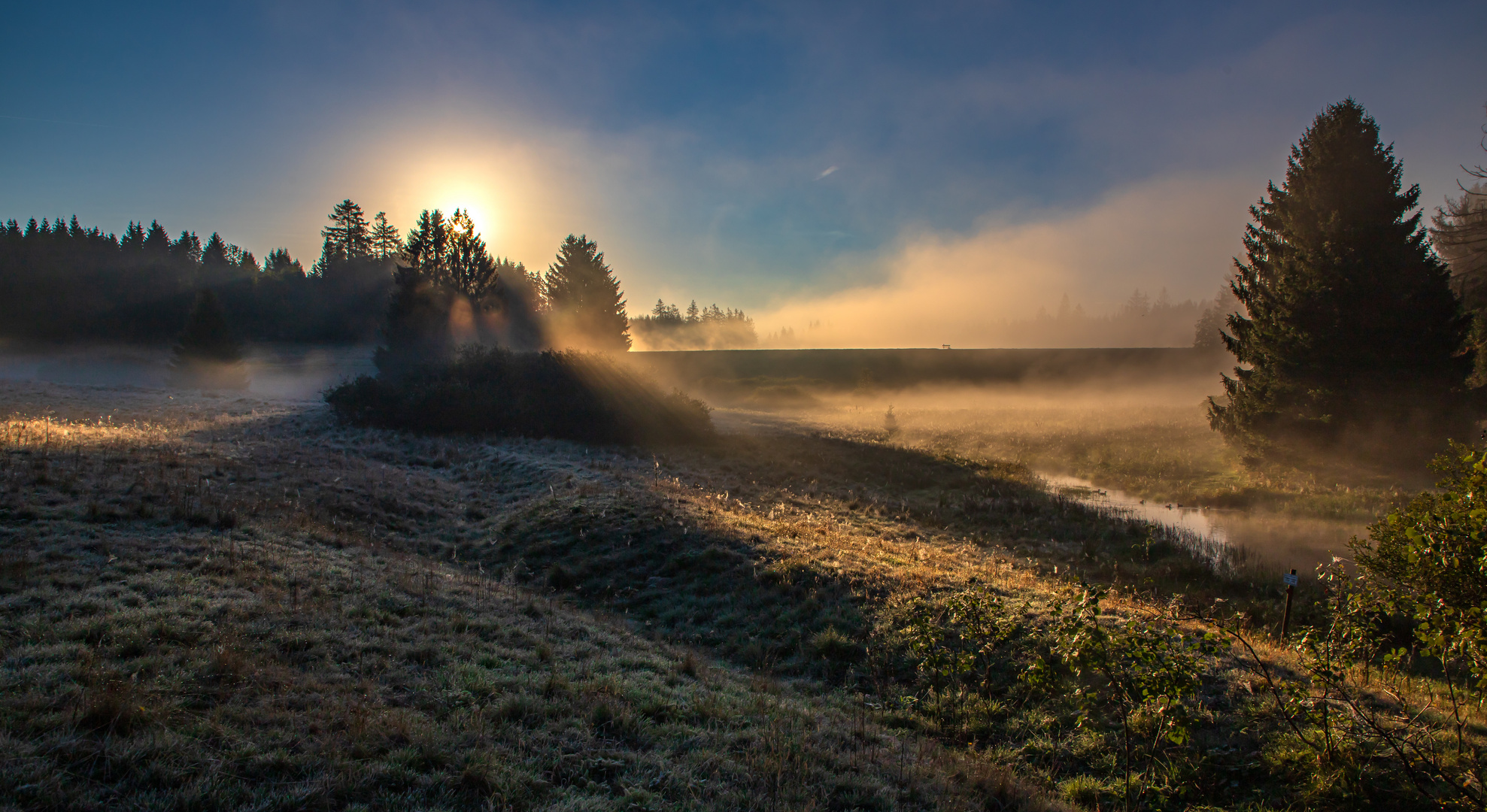 Nebel über den Wiesen 