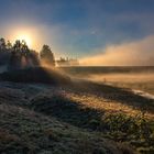 Nebel über den Wiesen 