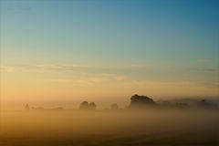 Nebel über den Wiesen ()