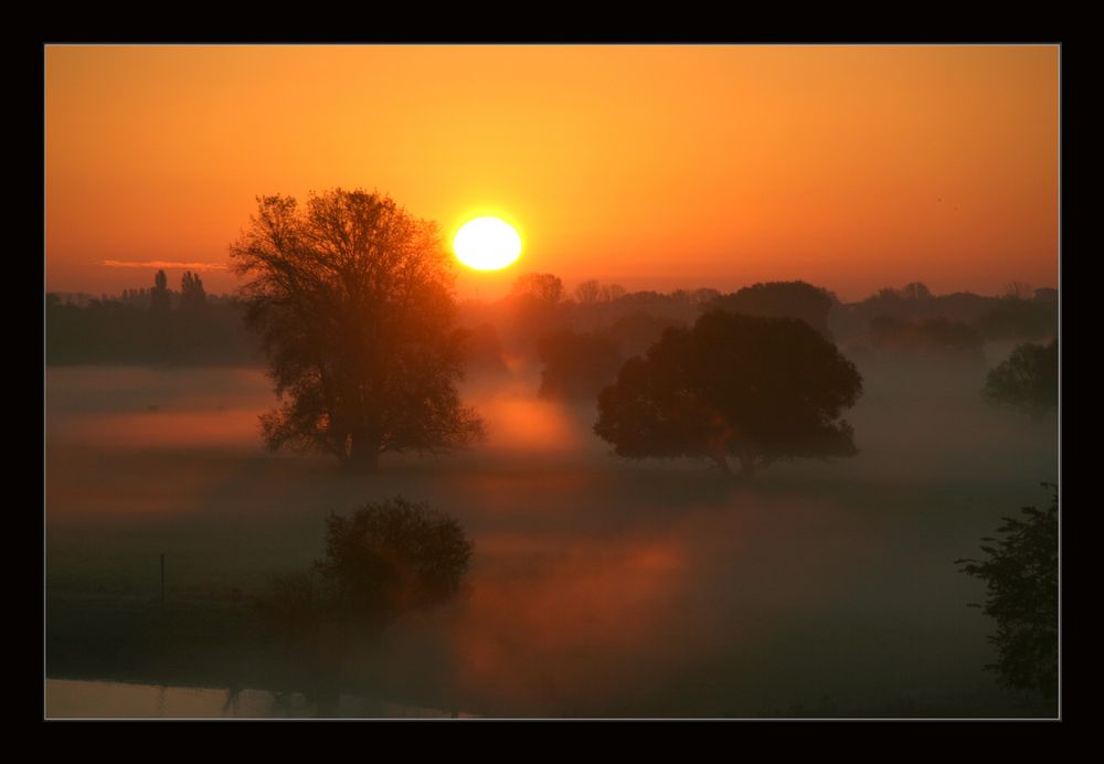 Nebel über den Wiesen