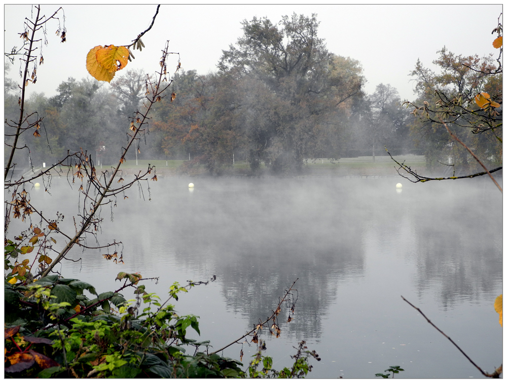 Nebel über der Aare