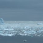 [ … Nebel über der Baffin Bay ]