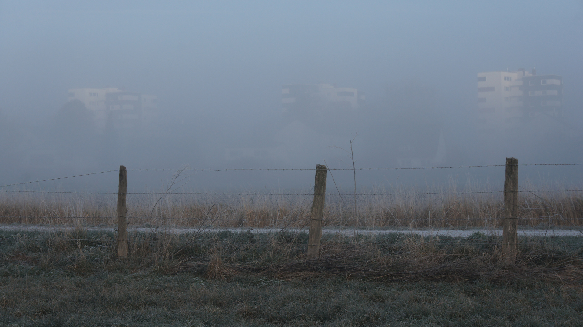 Nebel über der Breiten Wiese