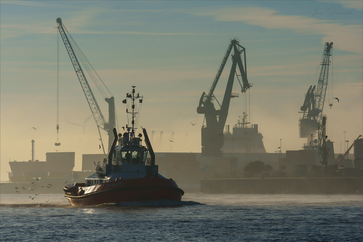 Nebel über der Elbe (1)