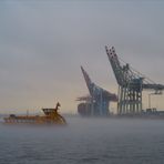 Nebel über der Elbe (2)