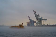 Nebel über der Elbe (2)