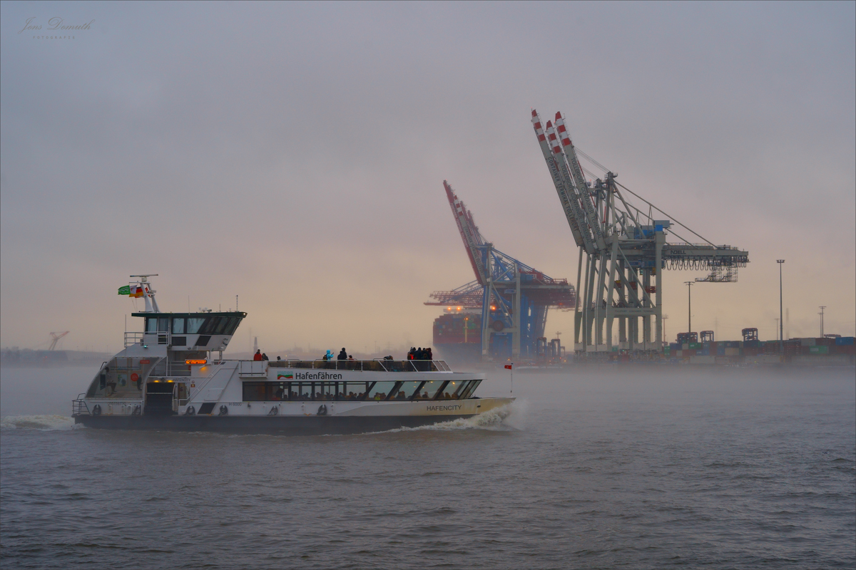 Nebel über der Elbe (3)