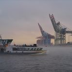 Nebel über der Elbe (3)