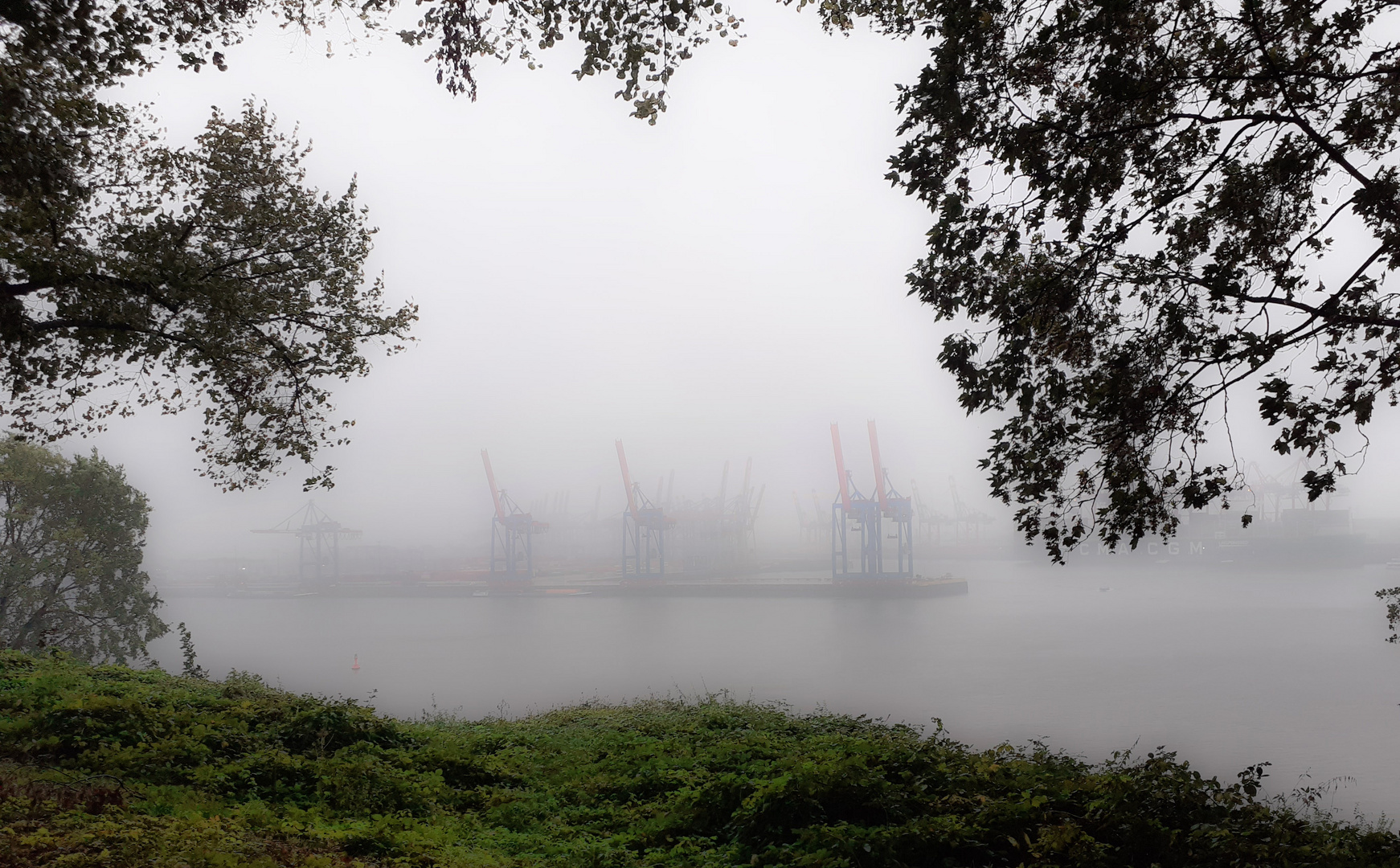 Nebel über der Elbe