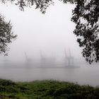 Nebel über der Elbe